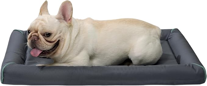 BALANCE Oxford Dog Bed for Medium Dogs, Waterproof Dogs Crates Pad Outdoor Dog Crate Mat, Wipe Clean & Easy Rinse, 30 inch by BalancePet