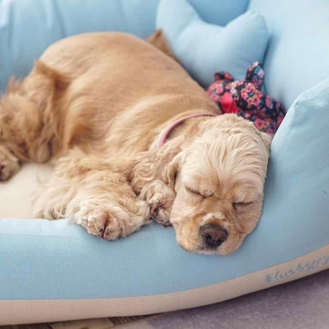 Blueberry Pet Fully Removable Washable Dog Bed Cover Only, Heavy Duty Replacement Cover w/Durable YKK Zippers, for Cats & Dogs Bed 25" x 21" x 10", Baby Blue & Beige Color-Block - Image 2