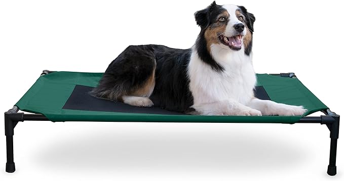 K&H Outdoor Elevated Dog Bed - Cooling Raised Dog Bed for Medium & Large Pets, Breathable Mesh Center Hammock Design, Indoor/Outdoor Washable Cover, Portable Metal Frame, Green, Large 42x30in by KHPetProducts