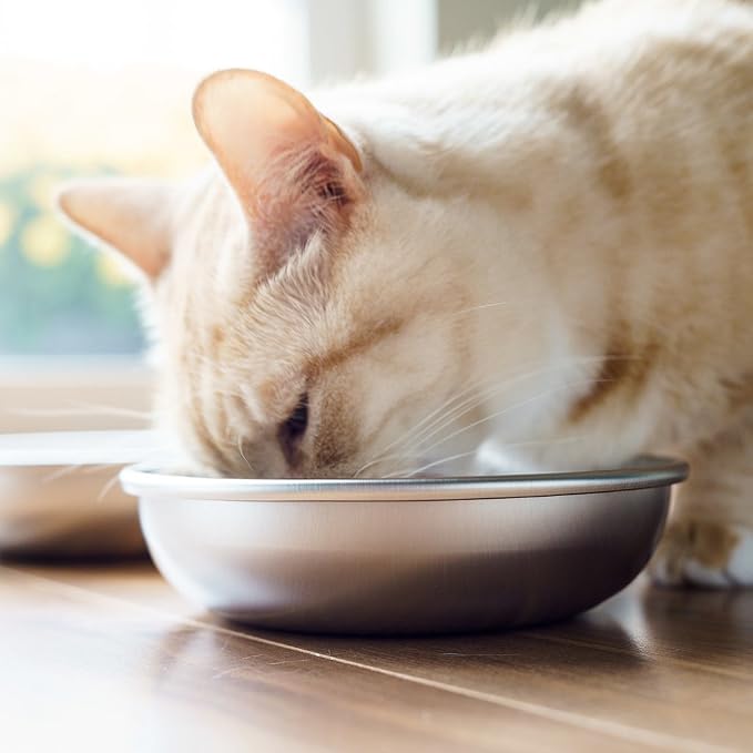 Stainless Steel Cat Bowls for Food & Water by Americat – Made in USA – Dishwasher Safe, Human Grade, Whisker Friendly Dishes (6 Bowls) - Image 3