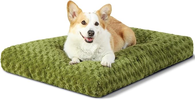 KSIIA Washable Dog Bed Comfy Dog Crate Pad Deluxe Plush Pet Bed Non-Slip Kennel Pad for Medium Dogs, 29" x 21", Green by KSIIAPetProducts
