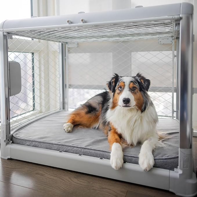 Diggs Snooz Memory Foam Dog Bed - Ideally Sized Revol Dog Crate Pad - Premium Orthopedic Pet Bed for Crate or Home - Grey, Intermediate - Image 4