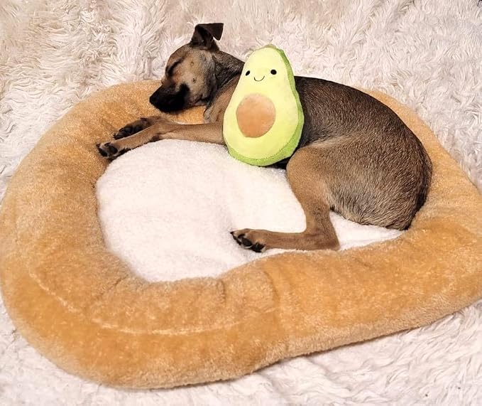 TONBO Soft Plush Small Cute and Cozy Food Dog Cat Bed, Washer and Dryer Friendly (Avocado Toast) - Image 3