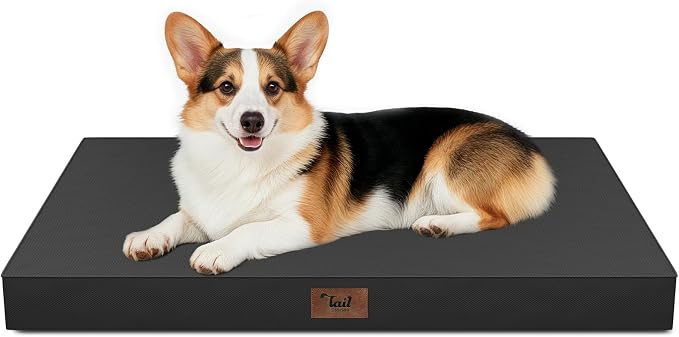 Outdoor Waterproof Orthopedic Dog Bed for Large Dogs | Egg Crate Foam for Joint Support, TPU Waterproof Layer, Machine Washable 1680D Oxford Cover, 36 x 27 Inch, Up to 65 lbs by TailStories