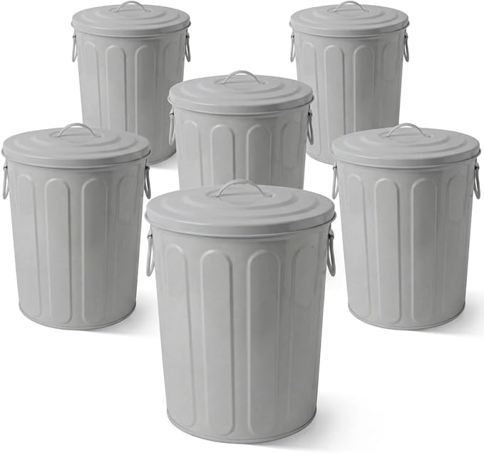 Plexon 5 Gallon Small Metal Trash Can with Lid Outdoor Galvanized Steel Bucket with Lid 5 Gal Storage Can for Dog Food Bird Seed Storage Container, Gray 6 Pack by Plexon