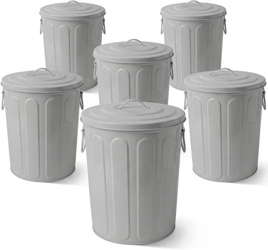 Plexon 5 Gallon Small Metal Trash Can with Lid Outdoor Galvanized Steel Bucket with Lid 5 Gal Storage Can for Dog Food Bird Seed Storage Container, Gray 6 Pack by Plexon