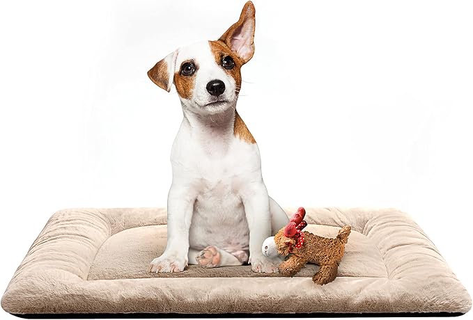 Dog Crate Pad Washable Dog Bed for Crate Medium Cozy Mat 30-Inch Cream | Ultra Soft Kennel Pad,Anti-Slip Bottom,Fits for Most Metal Crates,Comfortable Sleeping Pet Mat by VERZEY
