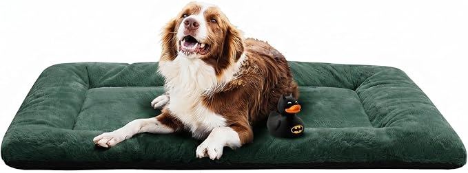 Dog Crate Pad Washable Dog Bed for Crate Large Cozy Mat 48-Inch Green | Ultra Soft Kennel Pad,Anti-Slip Bottom,Fits for Most Metal Crates,Comfortable Sleeping Pet Mat by VERZEY