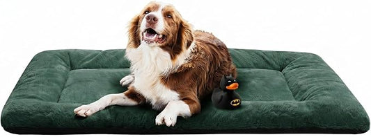 Dog Crate Pad Washable Dog Bed for Crate Large Cozy Mat 48-Inch Green | Ultra Soft Kennel Pad,Anti-Slip Bottom,Fits for Most Metal Crates,Comfortable Sleeping Pet Mat by VERZEY