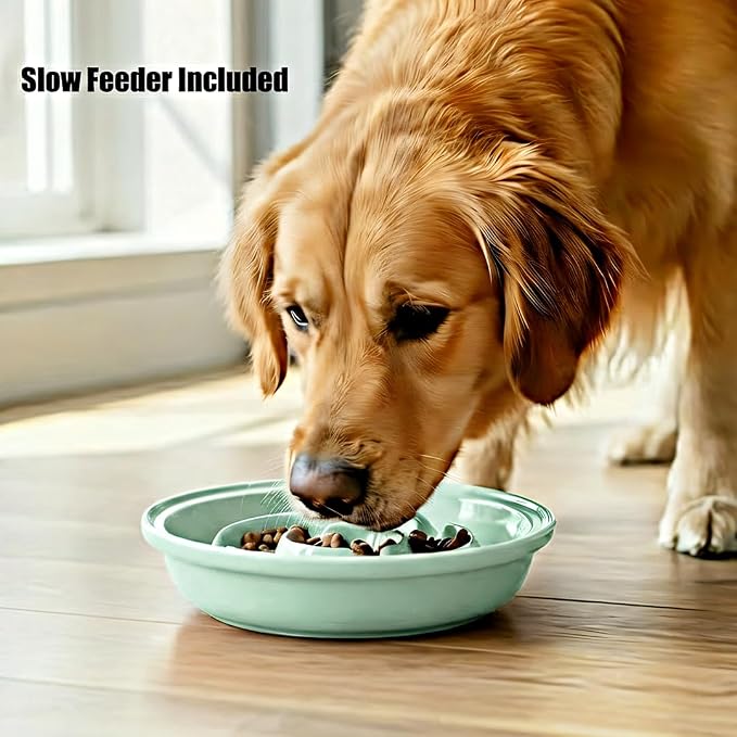 Elevated Dog Bowl Stand with 3 Large Ceramic Bowls – Raised Feeding Station for Medium & Large Dogs, Includes 2 Standard Bowls + 1 Slow Feeder, Durable Iron Frame, Non-Slip (Lucite Green) - Image 3