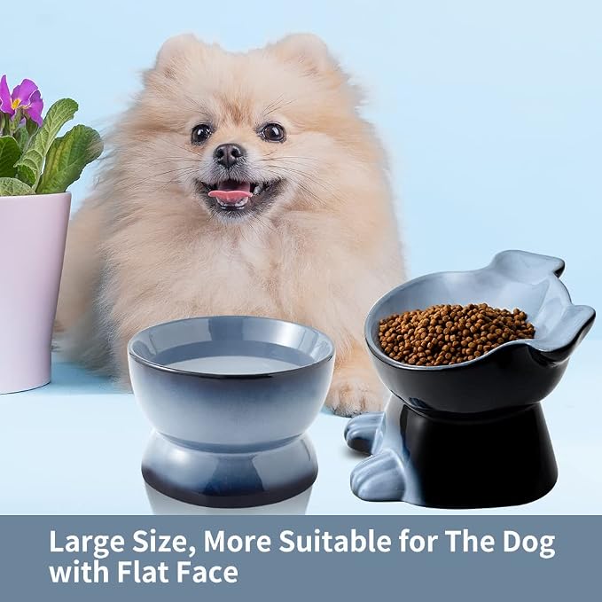 Nihow Dog Food & Water Bowls: Elevated Ceramic Bowls for Medium/Small Dog | Food Safe Raised Puppy Bowls - Gray Pet Bowl for Protecting Pet's Spine (Set of 2) - Image 3