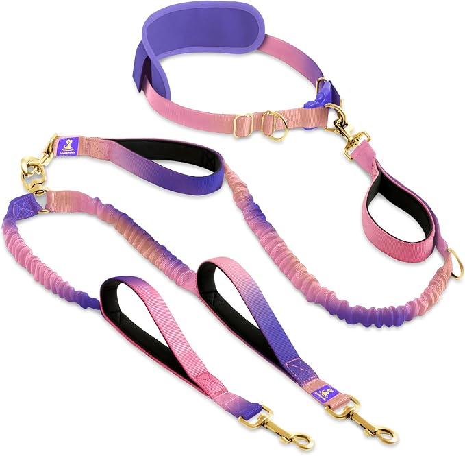 SparklyPets - Hands Free Dual Dog Leash for Medium and Large Female Dogs - Padded Handles, Reflective Stitches, No Pull, Tangle Free - Walking, Hiking, Jogging, Canicross Waist Leash - Gradient Pink by SparklyPets