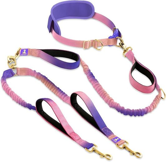 SparklyPets - Hands Free Dual Dog Leash for Medium and Large Female Dogs - Padded Handles, Reflective Stitches, No Pull, Tangle Free - Walking, Hiking, Jogging, Canicross Waist Leash - Gradient Pink by SparklyPets
