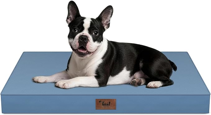 Orthopedic Waterproof Dog Bed for Small Dogs and Cats | Egg Crate Foam for Joint Support, Fits 30x19 Crates, TPU Waterproof Layer, Machine Washable 1680D Oxford Cover, Up to 30 lbs by TailStories