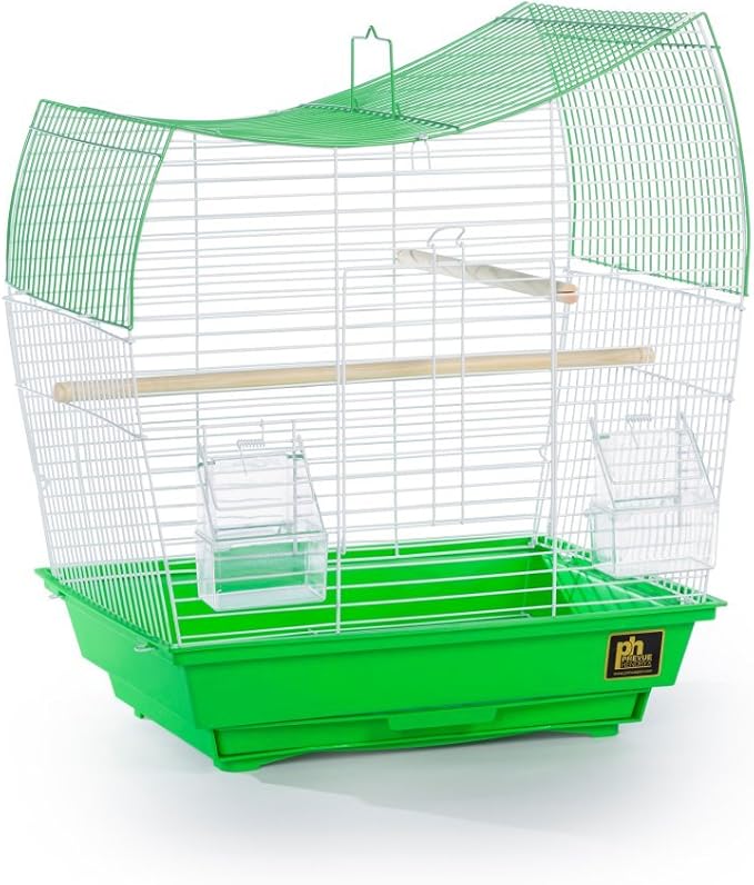 Prevue Pet Products South Beach Wave Top Bird Cage, Lime Green (SP50081) by PrevuePetProducts