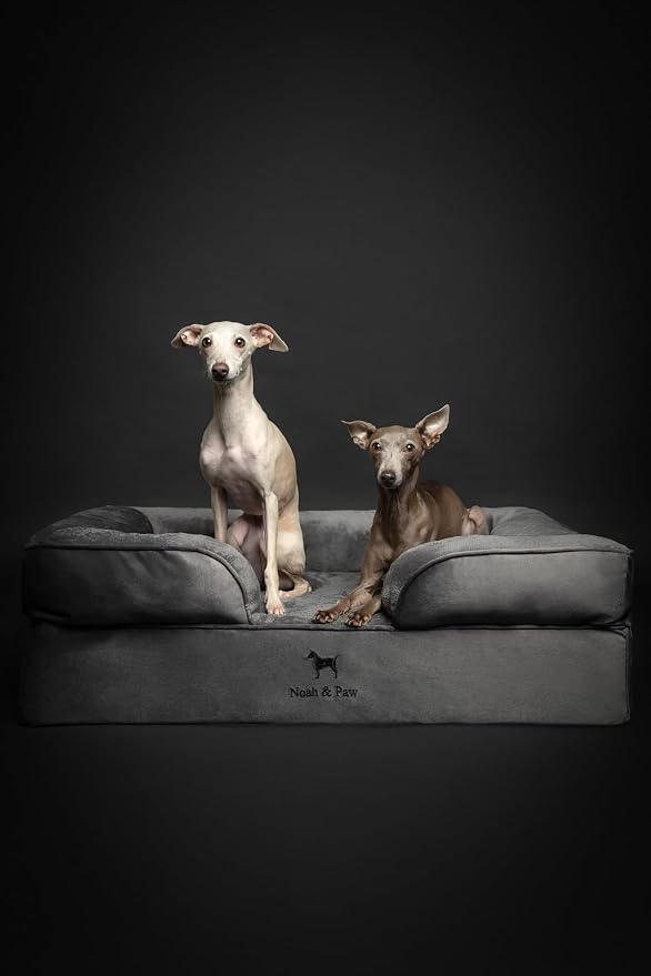 NOAH & PAW Large Dog Bed, 35x25x11 Inch, Orthopedic Dog Beds, Eggshell Memory Foam Infused with Cooling Gel, Inner Cover, Water Resistant, Machine Washable (Velvet Sofa Collection) - Image 7
