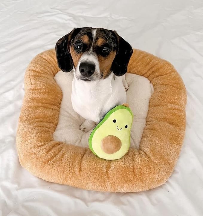 TONBO Soft Plush Small Cute and Cozy Food Dog Cat Bed, Washer and Dryer Friendly (Avocado Toast) - Image 2