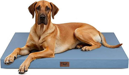 Jumbo Waterproof Orthopedic Dog Bed for Extra Large Dogs | Egg Crate Foam, Pressure Relief, Fits 54x37 Crates, Machine Washable 1680D Oxford Cover, Indoor & Outdoor Use, Up to 150 lbs by TailStories