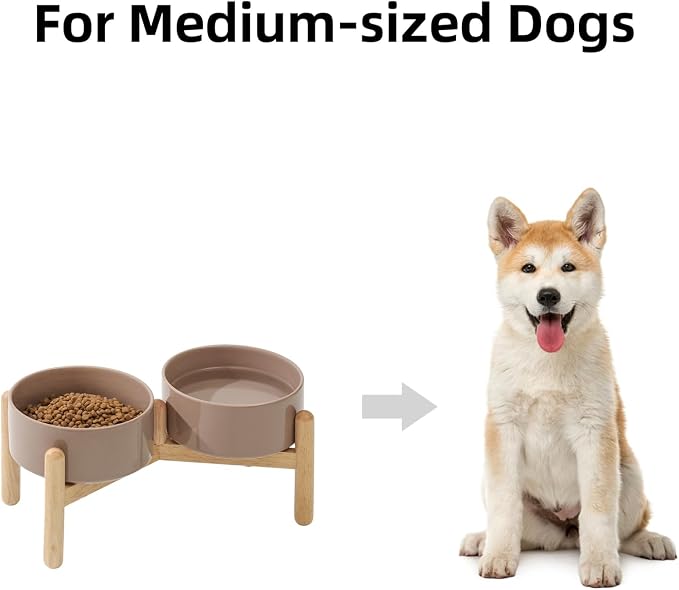 Havniva Elevated Dog Bowls Ceramic Dog Bowls with Stand, Dog Food Bowl | 6.1” Raised Dog Bowls with Non-Slip Wood Stand, Dog Food and Water Bowl Set, Double Dog Feeding Bowls for Small & Medium Dogs - Image 4