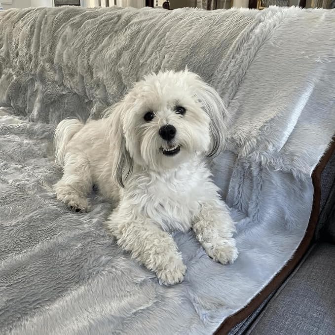 PupProtector Waterproof Throw Blanket for Dogs and Cats, Pet Blanket Cover for Couches, Sofas, Beds, Car Seats, Furniture, Calming Soft Faux Fur, Short Grey, Large (80" L x 62" W) | Waterproof, machine washable — protects couches, beds & car seats - Image 2