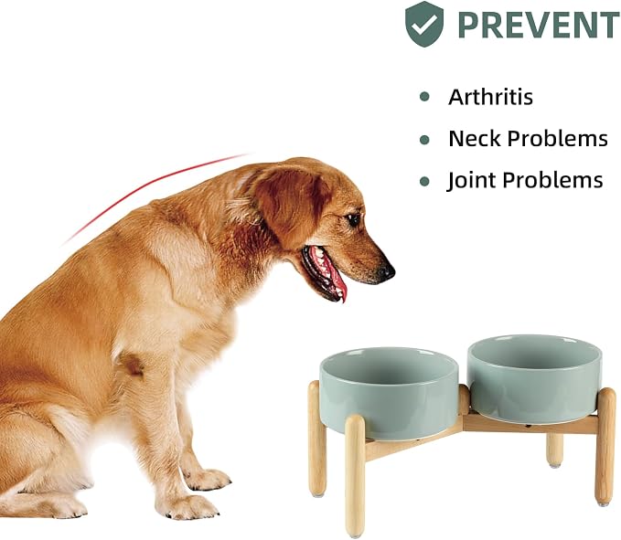 Havniva Elevated Dog Bowls Ceramic Dog Bowls with Stand, Dog Food Bowl | 7.3” Raised Dog Bowls with Non-Slip Wood Stand, Dog Food and Water Bowl Set, Double Dog Feeding Bowls for Medium Dogs - Image 5