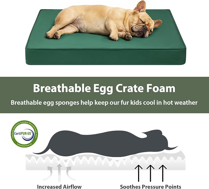 WNPETHOME Outdoor Waterproof Dog Bed Large Sized, Washable Creat Pad 30" | Outdoor & Indoor Use, For Large Sized Dog, Removable Washable Cover, Egg Crate Foam Orthopedic Dog Mat, Up to 35 lbs - Image 5