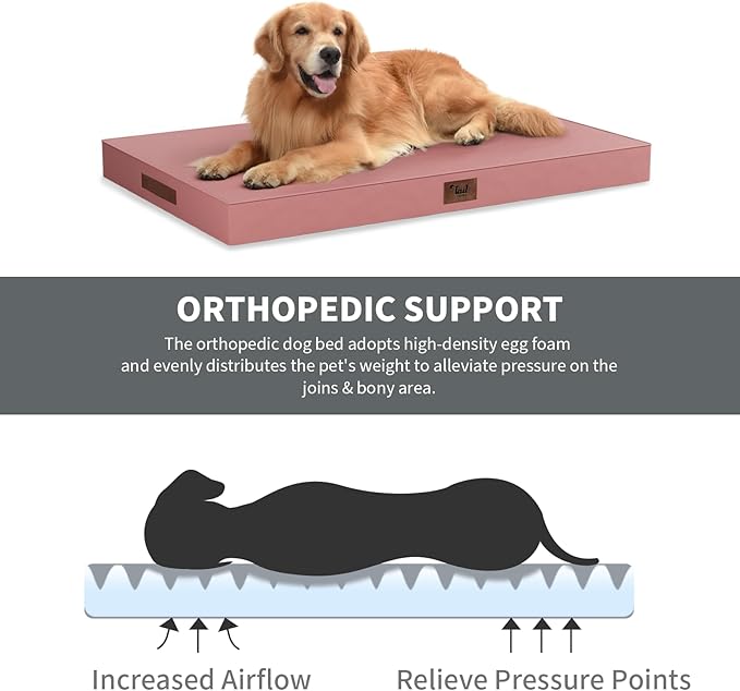 Orthopedic Waterproof Dog Bed for Small Dogs and Cats | Egg Crate Foam for Joint Support, Fits 30x19 Crates, TPU Waterproof Layer, Machine Washable 1680D Oxford Cover, Up to 30 lbs - Image 3