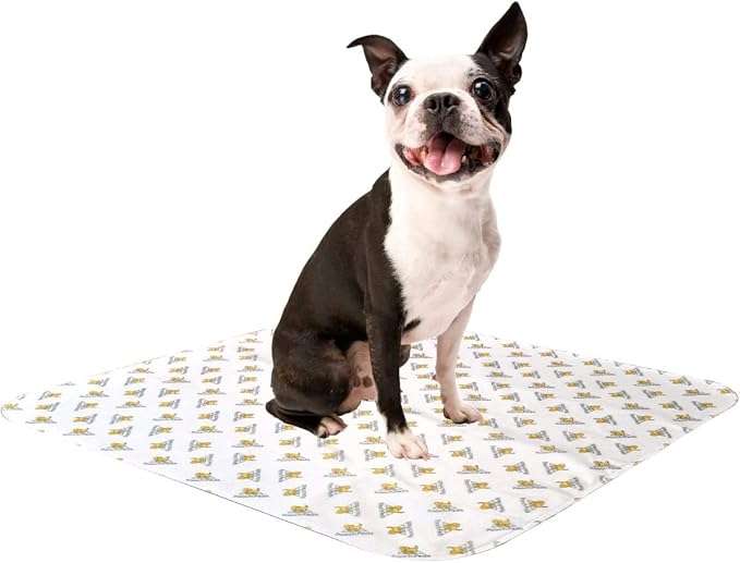 PoochPad Original Washable, Reusable Dog Potty Pad, Small, 1 Pack | Super Absorbent Puppy Pad, Leakproof Design, Unmatched Odor Control, Easy to Clean, Dog & Puppy Pee Pad for Potty Training by RevivalAnimalHealth