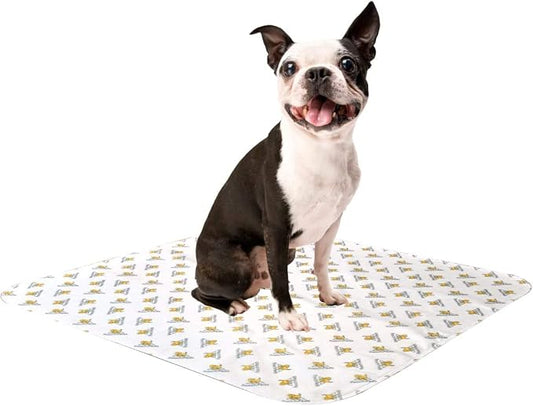PoochPad Original Washable, Reusable Dog Potty Pad, Small, 1 Pack | Super Absorbent Puppy Pad, Leakproof Design, Unmatched Odor Control, Easy to Clean, Dog & Puppy Pee Pad for Potty Training by RevivalAnimalHealth