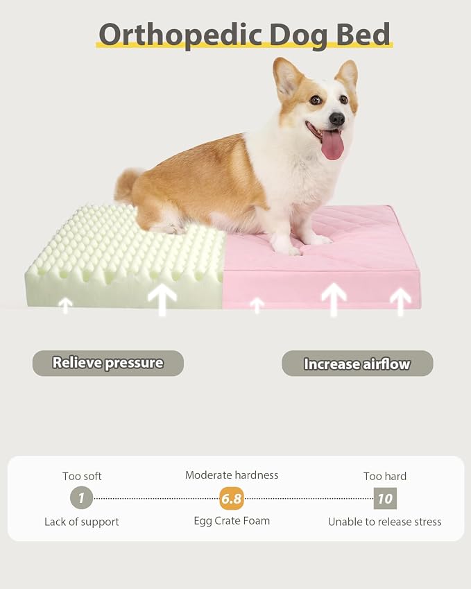 NUPIDA Orthopedic Dog Beds Large Sized Dog Waterproof Pet Kennel Pad with Removable Washable Cover and Non-Slip Bottom, 35x23 Inch, Pink - Image 2