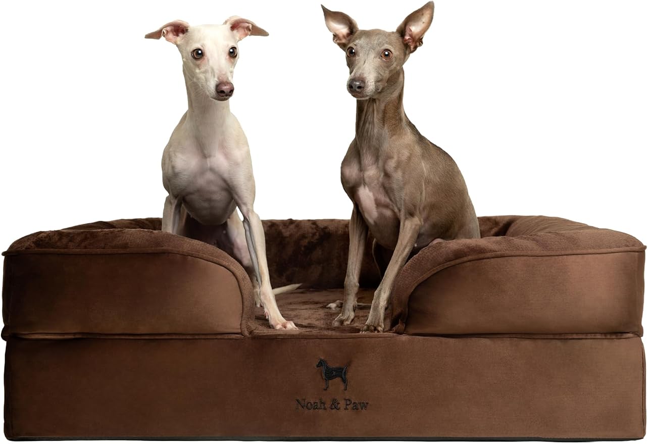 NOAH & PAW Large Dog Bed, 35x25x11 Inch, Orthopedic Dog Beds, Eggshell Memory Foam Infused with Cooling Gel, Inner Cover, Water Resistant, Machine Washable (Velvet Sofa Collection) by NoahPaw