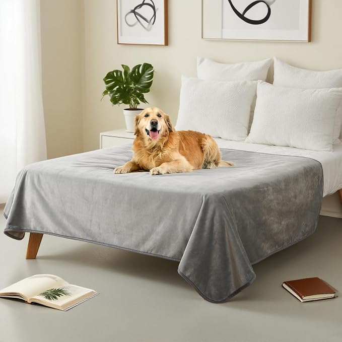 Waterproof Pet Blanket for Small Dogs and Cats | Reversible Flannel Fleece Throw Blanket for Sofa Couch Puppy Leakproof, Washable Furniture Protector 30"x40",Light Grey by CAPTSNOOZE