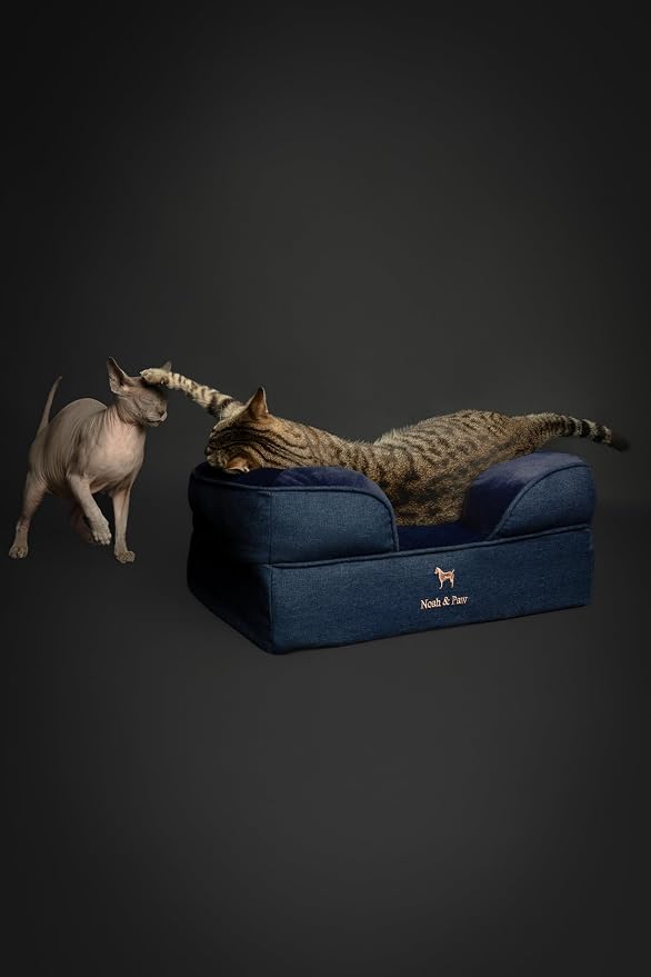 NOAH & PAW Small Dog Bed, 20x15x8 Inch, Cat Bed for Indoor Cats, Orthopedic Eggshell Memory Foam Infused with Cooling Gel, Water Resistant Inner Cover Machine Washable (Denim Collection) - Image 2