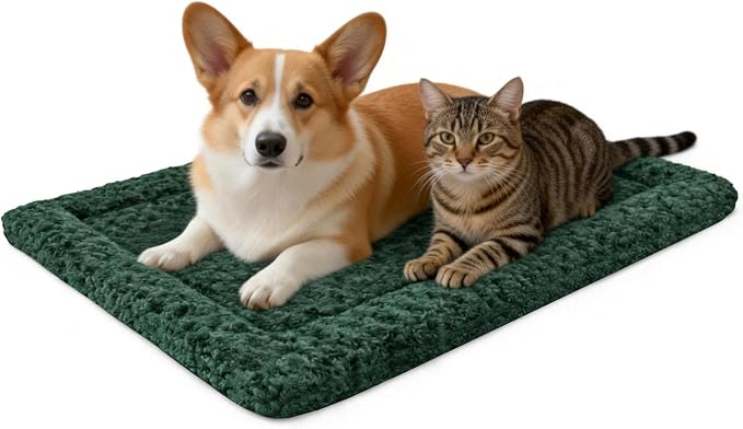 Washable Dog Bed Mat with Anti-Slip Bottom, Deluxe Plush Memory Foam Crate Pad & Waterproof Outdoor Kennel Mat for Dogs & Cats-Durable Crates Beds, Large Medium Small Puppy Size24 x 18",Green by Unknown