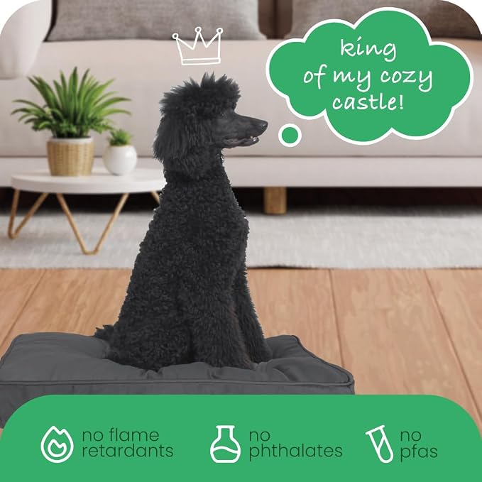 Molly Mutt Huge Dog Bed Cover - I’m A Realist Print - Measures 36”x45”x5’’ - 100% Cotton - Durable - Breathable - Sustainable - Machine Washable Dog Bed Cover - Image 6