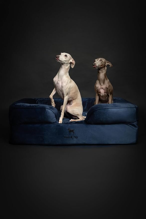NOAH & PAW Large Dog Bed, 35x25x11 Inch, Orthopedic Dog Beds, Eggshell Memory Foam Infused with Cooling Gel, Inner Cover, Water Resistant, Machine Washable (Velvet Sofa Collection) - Image 6