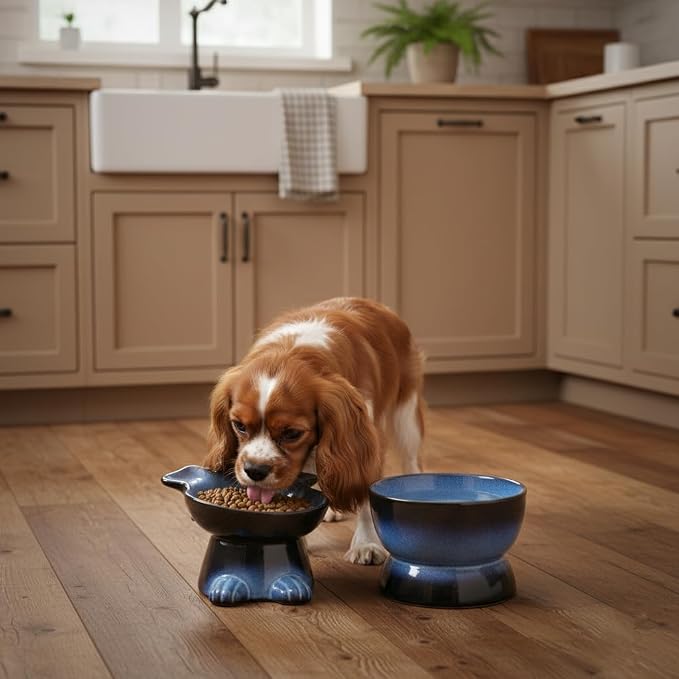 Nihow Dog Food & Water Bowls: Elevated Ceramic Bowls for Medium/Small Dog | Food Safe Raised Puppy Bowls - Vivid Blue Pet Bowl for Protecting Pet's Spine (Set of 2) - Image 6