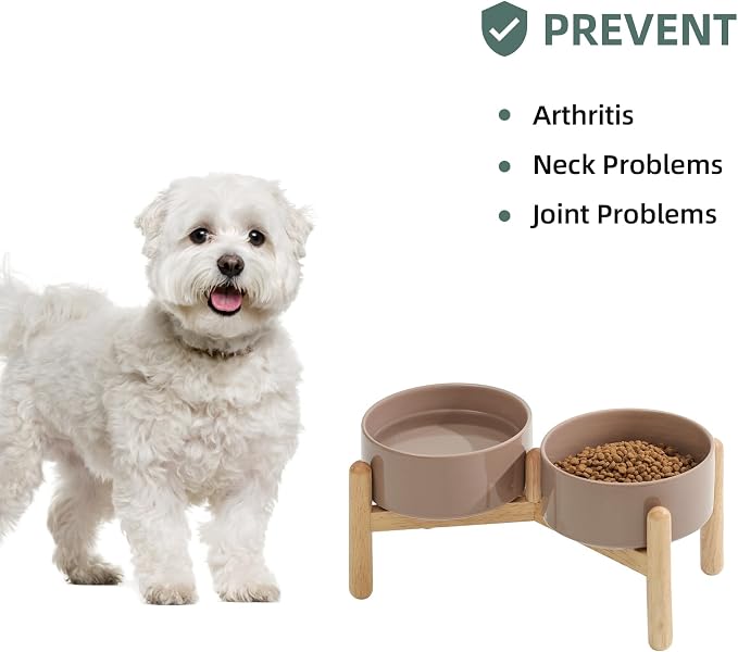 Havniva Elevated Dog Bowls Ceramic Dog Bowls with Stand, Dog Food Bowl | 6.1” Raised Dog Bowls with Non-Slip Wood Stand, Dog Food and Water Bowl Set, Double Dog Feeding Bowls for Small & Medium Dogs - Image 5