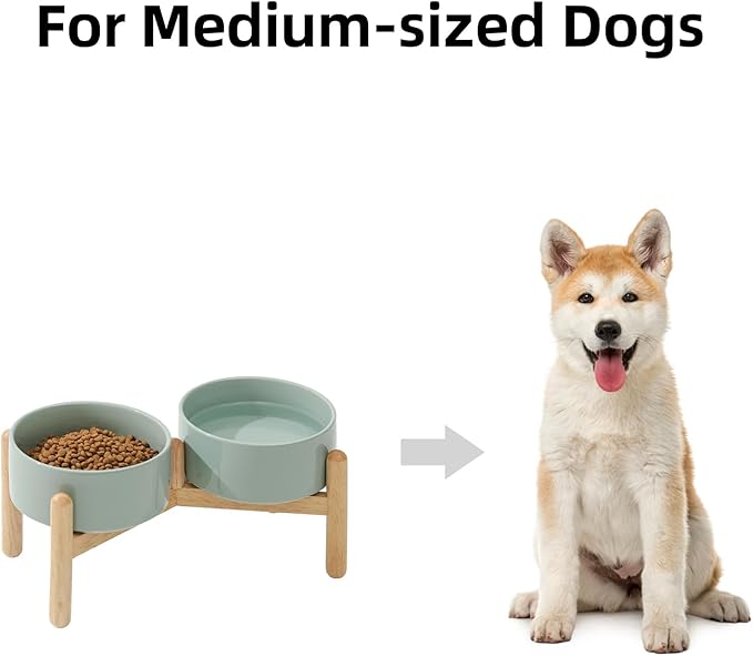 Havniva Elevated Dog Bowls Ceramic Dog Bowls with Stand, Dog Food Bowl | 6.1” Raised Dog Bowls with Non-Slip Wood Stand, Dog Food and Water Bowl Set, Double Dog Feeding Bowls for Small & Medium Dogs - Image 4