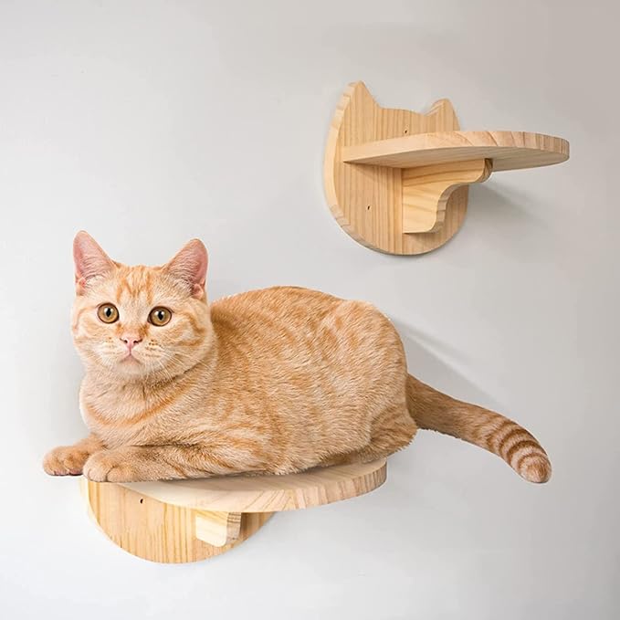 SHENGOCASE 6.7" x 7.5" Solid Wood Wall Mounted Cat Steps, Cat Wall Furniture Shelves Stairs Perch - Image 2