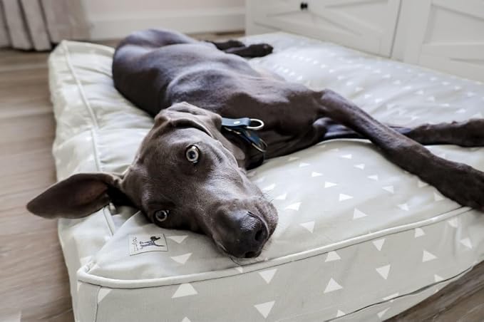 Molly Mutt Medium to Large Dog Bed Cover - Be Still - Measures 27”x36”x5’’ - 100% Cotton - Durable - Breathable - Sustainable - Machine Washable Dog Bed Cover - Image 3