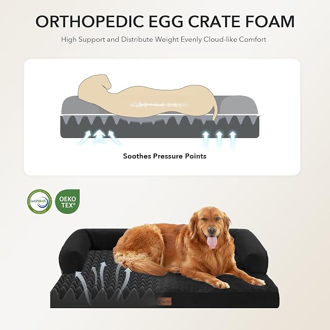 Orthopedic Washable Dog Bed for Large Dogs, 36x27in, Black | Orthopedic Foam Relieves Joint Pressure, Bolsters Supports Head And Neck, Washable Cover, Non-Slip Bottom - Image 2