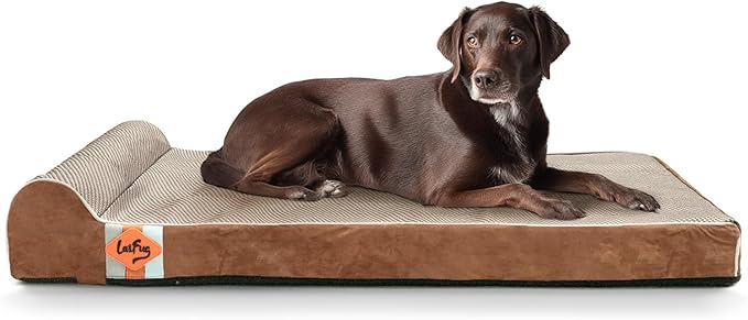 Laifug Orthopedic Dog Beds for Large Dogs,3" Memory Foam Dog Beds,Durable Water Proof Liner Removable and Washable, Nonskid Bottom, Brown 40"x25"x5.5" by Laifug