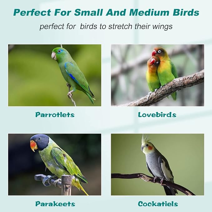 BestPet 64 inch Wrought Iron Bird Cage for Parakeets Medium Small Parrots Parakeet Cage with Detachable Rolling Stand & Play Open Top for Cockatiels Lovebird Finches Canaries,White - Image 6