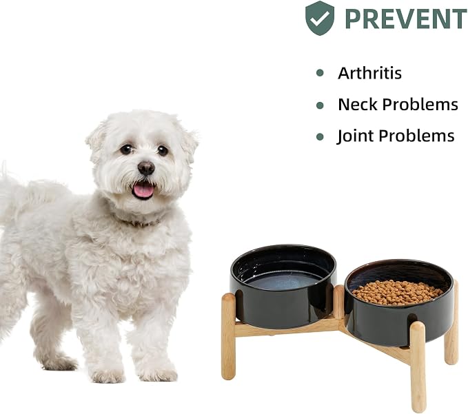 Havniva Elevated Dog Bowls Ceramic Dog Bowls with Stand, Dog Food Bowl | 6.1” Raised Dog Bowls with Non-Slip Wood Stand, Dog Food and Water Bowl Set, Double Dog Feeding Bowls for Small & Medium Dogs - Image 6