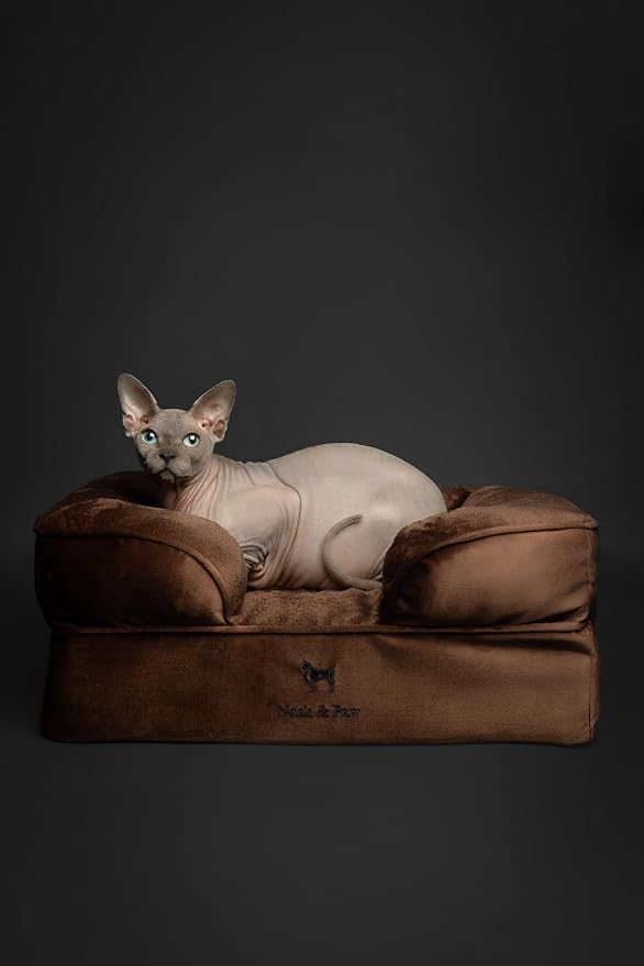 NOAH & PAW Small Dog Bed, 20x15x8 Inch, Cat Bed for Indoor Cats, Orthopedic Eggshell Memory Foam Infused with Cooling Gel, Water Resistant Inner Cover Machine Washable (Velvet Collection) - Image 6