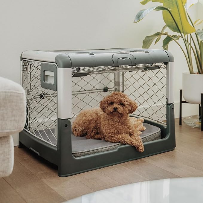 Diggs Snooz Memory Foam Dog Bed - Ideally Sized Revol Dog Crate Pad - Premium Orthopedic Pet Bed for Crate or Home - Grey, Medium - Image 5