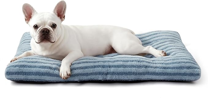 FURTIME Washable Small Dog Bed, Deluxe Dog Crate Beds | Comfy Fluffy Kennel Pad Anti-Slip Pet Sleeping Mat for Puppy/Cat, Machine Washable Dogs Pillow, 23"x18"x3", Blue by FURTIME