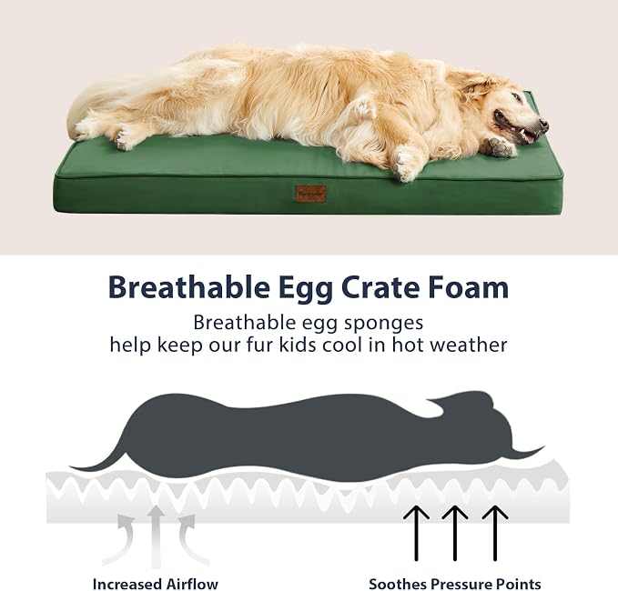 BFPETHOME Outdoor Waterproof Dog Bed for Large Dogs, Washable Cover, 36" | Outdoor & Indoor Use, Waterproof, For Medium, Large, Extra Large Dogs, Orthopedic, Egg Crate Foam, Up to 60 lbs - Image 5