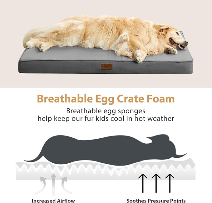 BFPETHOME Outdoor Waterproof Dog Bed for Large Dogs, Washable Cover, 42" | Outdoor & Indoor Use, Waterproof, For Medium, Large, Extra Large Dogs, Orthopedic, Egg Crate Foam, Up to 90 lbs - Image 5